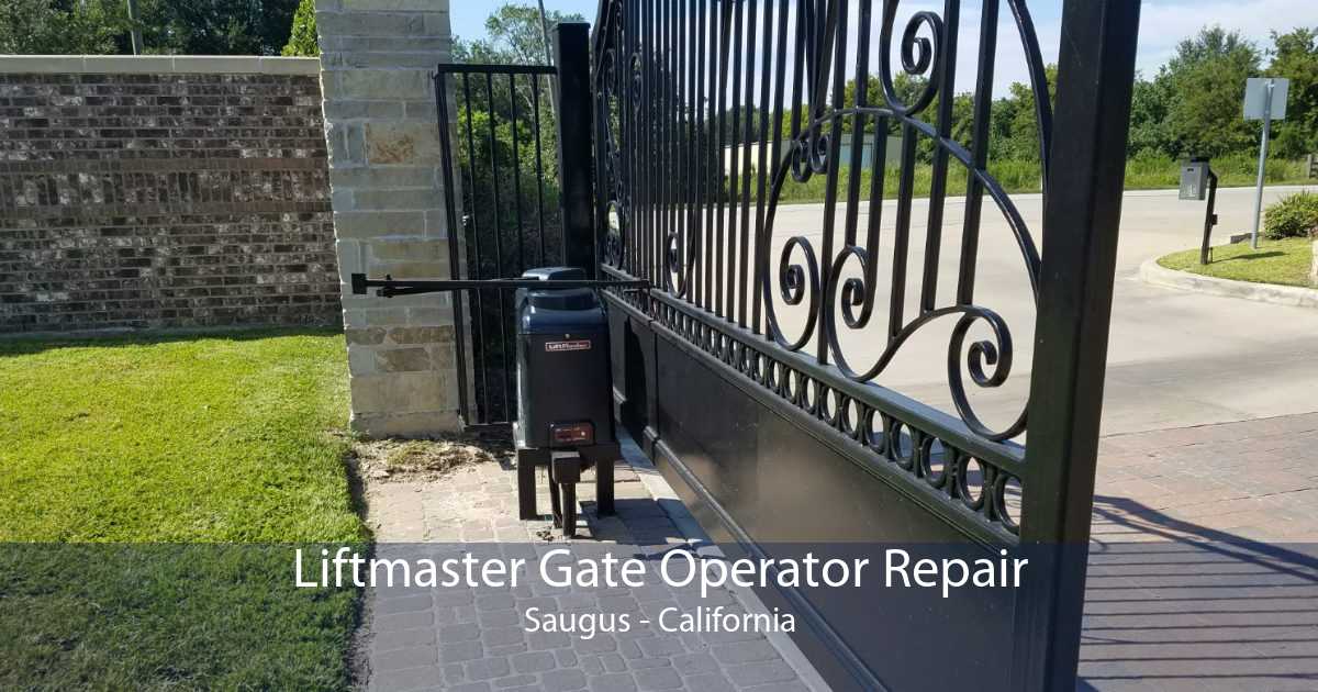 Liftmaster Gate Operator Repair Saugus - California
